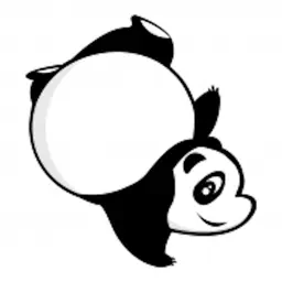 CrazyPanda - 疯狂熊猫运动相机